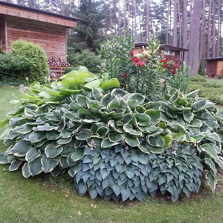 Feriepark Zakatek Mazurski Gim Teerau